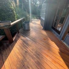 Stain Removal Southside 2